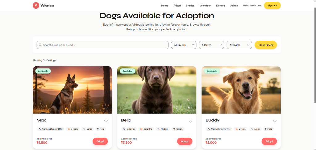 Dogs Available for Adoption